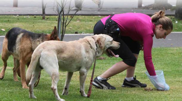 Los propietarios de animales de compañía deben limpiar las deyecciones que ocurran en espacios públicos como parques. Foto: Archivo