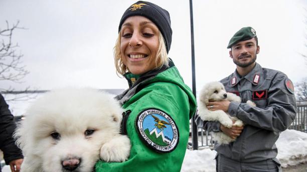 Foto cachorros rescatados en Italia. Foto: EFE