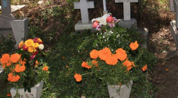 Los nichos profanados están en un cementerio en el sur de Quito. Foto: Archivo / ÚN