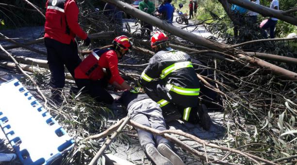 Un joven resultó herido tras la caída de un árbol en el sector de San Juan Alto de Cumbayá. Foto: Cortesía Bomberos Quito / ÚN