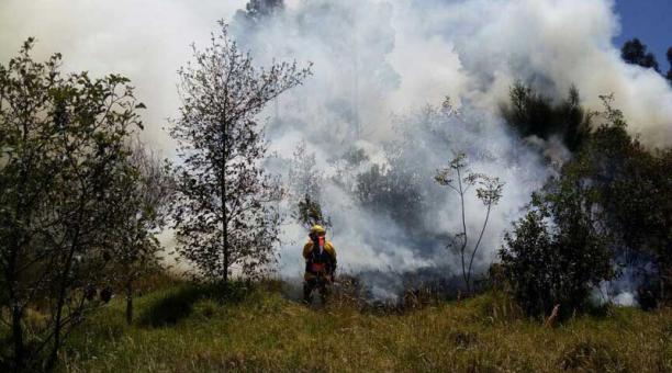 Incendio forestal en el sector de Ciudad Jardín en el sur de Quito. Foto: Belén Merizalde