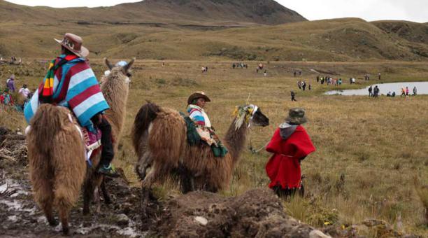 Es un área protegida, que cubre Cotopaxi, Napo , Pastaza y Tungurahua. Foto: Archivo ÚN