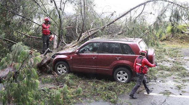Bomberos trabajaron para retirar el árbol del vehículo. Foto: Paúl Rivas / ÚN