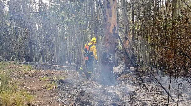 Los incendios forestales tienen en alerta a los cuerpos de bomberos. Foto: Twitter Bomberos Quito
