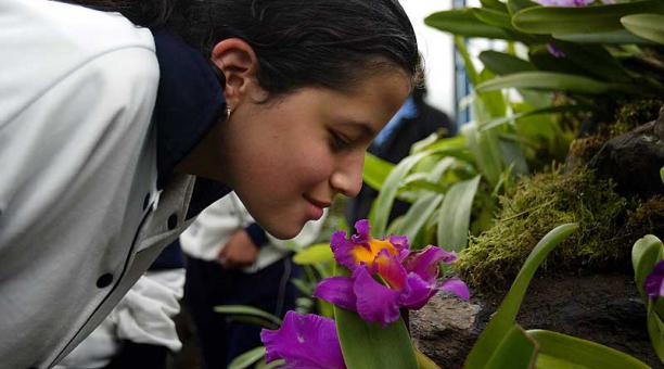 Ecuador sacará pecho en este encuentro  de sus 4 000 especies de orquídeas. Foto: archivo / ÚN