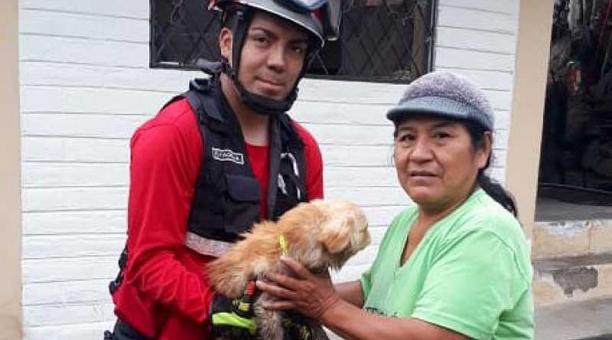 Los bomberos devolvieron el perrito a su preocupada dueña. Foto: cortesía Bomberos de Quito
