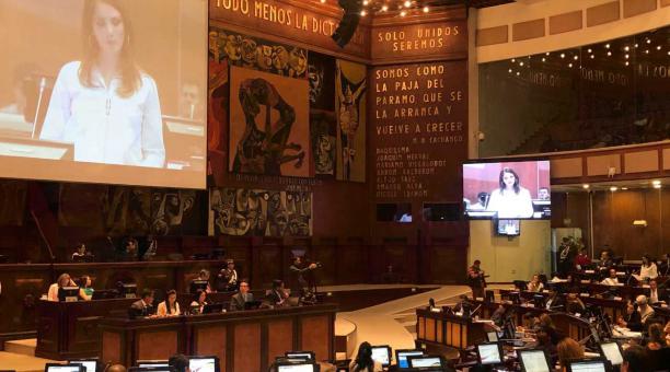 En su intervención en el Pleno de la Asamblea, Ana Galarza ofreció disculpas al país. Foto: Galo Paguay / ÚN