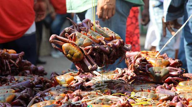 El crustáceo rojo es muy apetecido en la Costa. Foto: archivo / ÚN