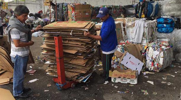 Los cargamentos de cartón y papel son cuidadosamente clasificados antes de su pesaje. Fotos: Ana Guerrero / ÚN