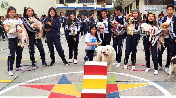 Los estudiantes llevaron a sus mascotas al colegio. Foto: cortesía Unidad Educativa Giovanni Battista Montini Paulo VI