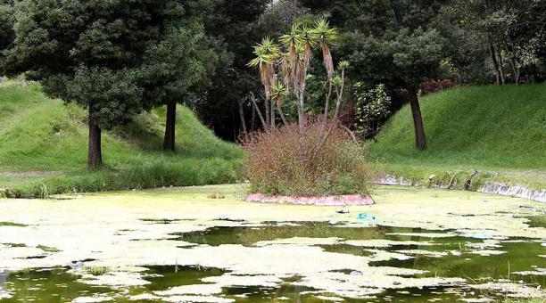 El agua de la laguna está verde. Hay basura. Foto: ÚN