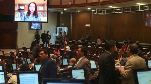 María Fernanda Espinosa expuso su defensa en la Asamblea en una videoconferencia desde Nueva York. Foto: Diego Pallero / ÚN