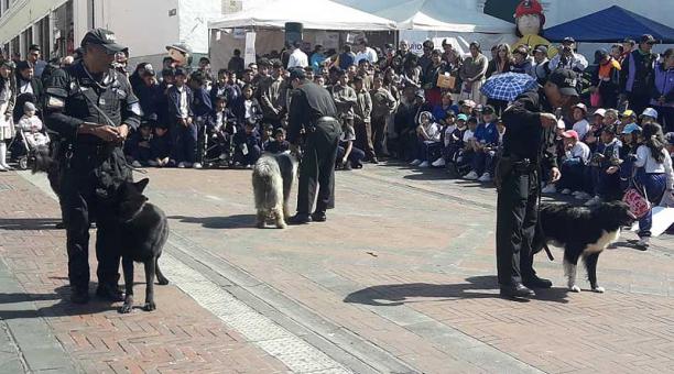 Los canes de la Policía fueron parte de las actividades que se realizaron. Foto: Twitter Policía Nacional