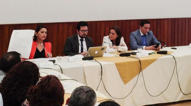 La correísta Paola Pabón fue ayer, 1 de julio del 2019, a la Asamblea y dijo que la Comisión no tiene facultad de llamarla. Foto: Cortesía