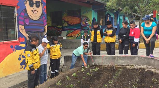 Los usuarios de la Fundación enseñaron a sembrar a los de la U. Central. Foto: Betty Beltrán / ÚN