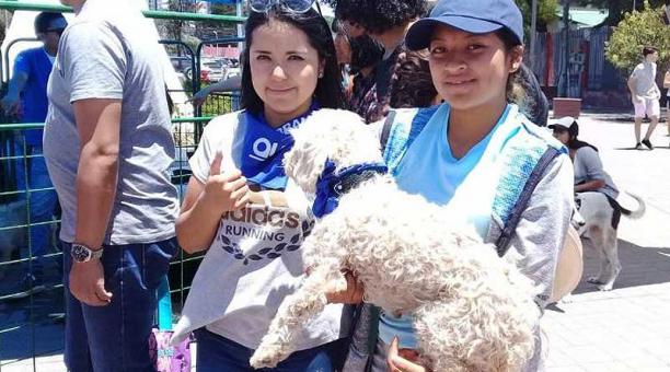 La jornada de adopción se realizará de 09:00 a 14:00 en el parque de La Armenia. Foto: cortesía Municipio de Quito