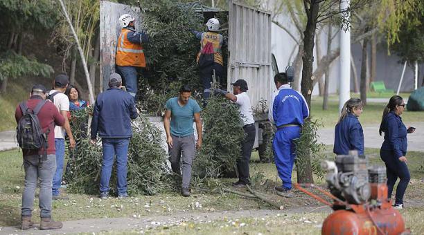 Los vecinos del sector se reunieron para  realizar una limpieza  y adecentamiento de el complejo de El Tingo. Foto: Patricio Terán / ÚN