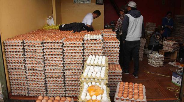 La producción de huevos quedó represada en decenas de granjas avícolas, sobre todo en Tungurahua. Foto: archivo / ÚN
