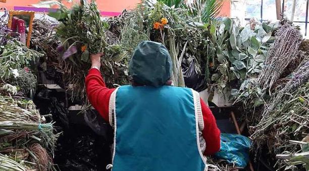 En el mercado de La Magdalena hay varias opciones para reemplazar al musgo. Foto: Betty Beltrán / ÚN