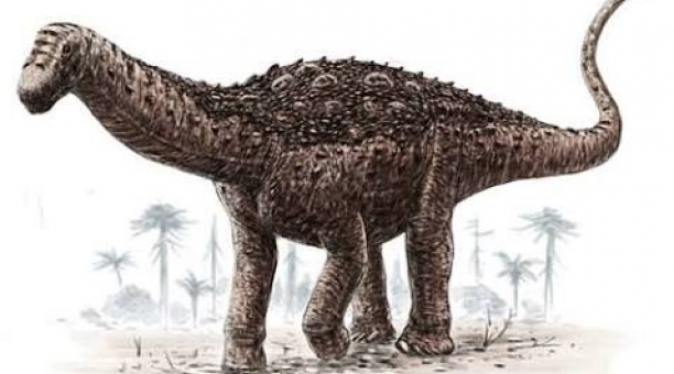 Los restos del primer dinosaurio hallado en Ecuador fueron encontrados en las inmediaciones de la parroquia de Yamana, ubicada en el centro del cantón Paltas, en Loja. Foto: Twitter Federico Kukso