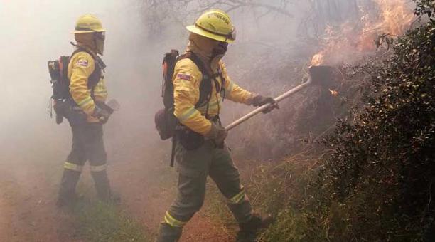El incendio forestal en el cerro Casitagua se registró aproximadamente a las 11:00 de este 14 de enero del 2020. Foto: Twitter Bomberos Quito