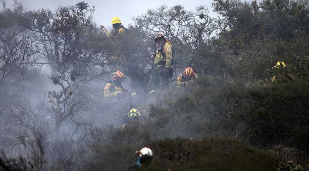 El incendio en el cerro Casitagua se inició el pasado 14 de enero del 2020. Foto: Julio Estrella / ÚN