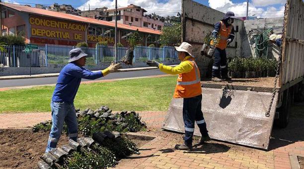 Los trabajos se realizan en el redondel de Miraflores. Foto: Ana Guerrero / ÚN