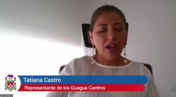 Tatiana Castro, representante de las directoras de los Guagua Centros, interviene en Comisión General en el Concejo Metropolitano. Foto: Captura