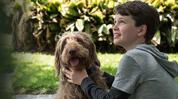 Un simpático perro y su humano compartirán una aventura llena de humor y aventura para toda la familia. La película se estrena en digital. Foto: Netflix