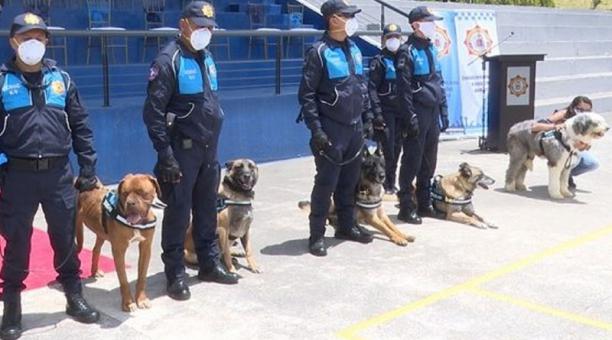Los perritos terminaron sus labores en la Agencia de Control. Foto: Cortesía del Municipio de Quito