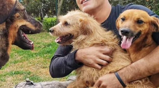 Camilo Ramírez apoya a las mascotas desde la Fundación Acción Animal. Foto: cortesía