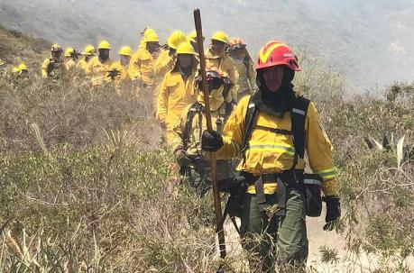 Los bomberos trabajan desde ayer en el cerro Casitagua. Foto: Eduardo Terán / ÚN