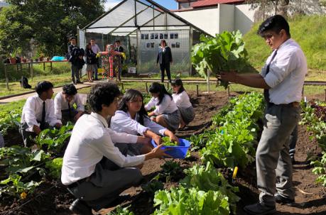 Los estudiantes cosecharon ya sus plantas. Foto: Ana Guerrero / ÚN