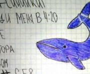 Se han presentado algunos casos de la ‘ballena azul’ en Sudamérica.  Foto: Captura de pantalla