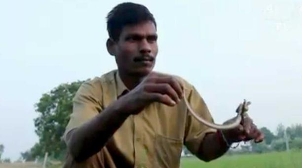 La tribu de cazadores de serpientes que salva vidas en India